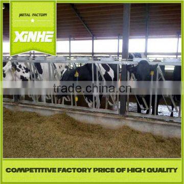 Good fast supplier Cattle headlock for dairy farms,livestock farm