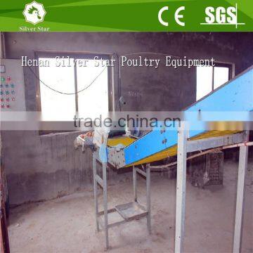 Automatic Egg Collection Machine & Crosswise Egg Conveyor System For A Type and H Type Battery Layer Cage photo-5