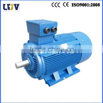 YE2 series motor