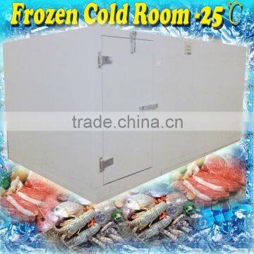 Meat storage PU freezer room with -25 degrees