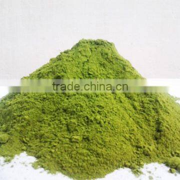 Pure Moringa Leaf Powder Huge Manufacturer