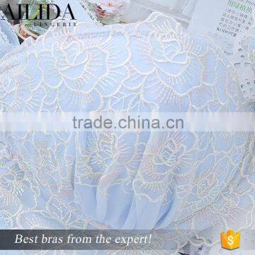 Ladies Women's Lace Sexy Push Up Large Bra Indian Sexy Bra Push Up Bra photo-4