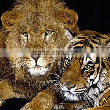 The lion and tiger pattern cloth painting