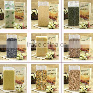 Automatic Vacuum Packing Machine, Brick Type Bag, for Yeast, Rice, Beans, Seeds, Nuts photo-2