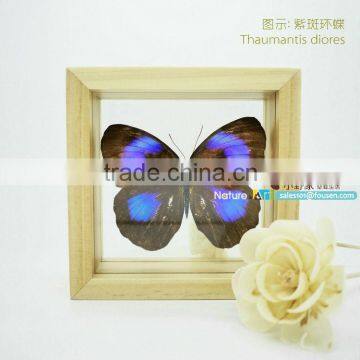 FOUSEN(011) Nature& Art natural real dried butterfly party favor unique and premium