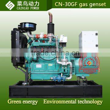 30kw OEM factory price Natural gas generator