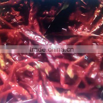 Dry Red Chilli