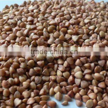 Roast Buckwheat kernels