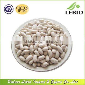 2016 Crop Wholesale white beans long shape for sales