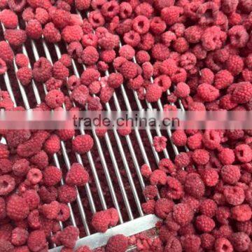 Frozen Raspberry photo-3