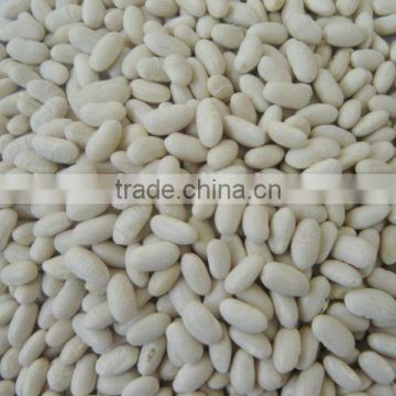 2014 Cheap price of white kidney bean from China factory