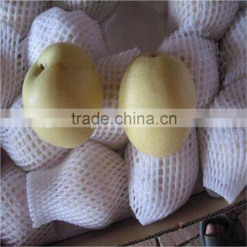 Fresh Golden Pears 18/20/22/24/36/40/44/48/72/80/96/112s photo-2