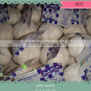 CHINESE GARLIC CROP 2015