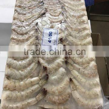 Frozen Vannamei White Shrimp Hlso BQF Seafood photo-3