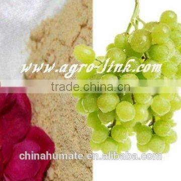 High Grade Plant Source Organic Fertilizer Powder Amino Acid 80% photo-5