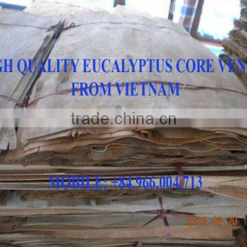 B GRADE EUCALYPTUS CORE VENEER FROM VIETNAM