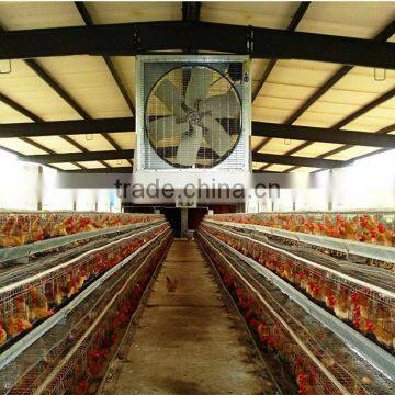 Poultry Farm Air Cooling System Wall Mounted Box Exhaust Fan photo-6