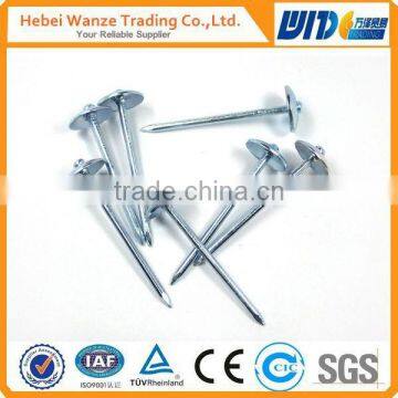 Roofing Nails with Umbrella Head and Hot-dipped Galvanized Finish