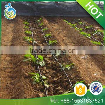 best price drip irrigation pipe for irrigation system
