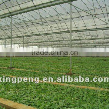 Flower Cultivation Greenhouse