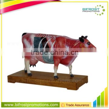 Vivid Education Animal Anatomical Plastic Model Cow