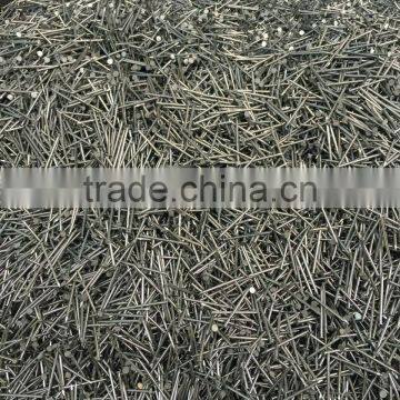 China Manufacturer Nail / Common Nail / Common Wire Nail photo-6