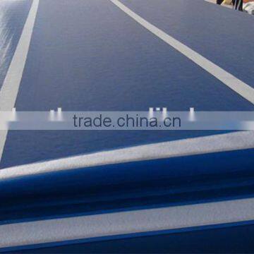 High Quality Inflatable Air Track Mat Gym for Sale photo-2
