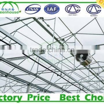 Poly Tunnel Greenhouses Manufacture Supplier photo-5