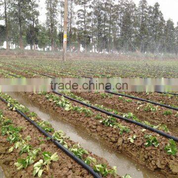 Micro Spray Irrigation Hose photo-5