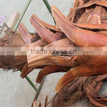 SJ2017200007 Hot Sale Outdoor Decorative Waterproof Fake Washington Artificial Plastic Palm Tree uv Anti photo-4