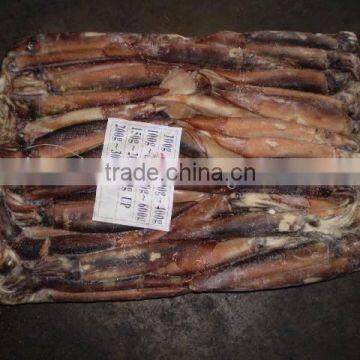 China Exporter Frozen Argentina Squid Illex Argentinus photo-2