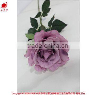 High quality Valentine gift big tea rose buy direct from China factory