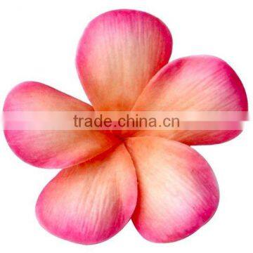 Plumeria frangipani flower head realistic look flower