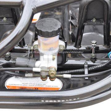 Adults Racing Monster 2 Seat Rental 150cc Buggy photo-5