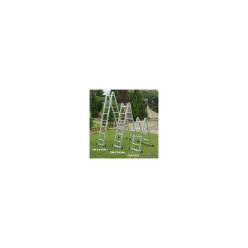 Sell Combination Ladder
