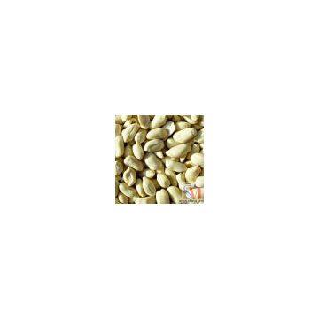 Sell Long Type Blanched Peanut Kernels