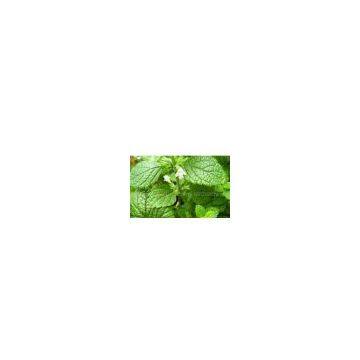 Lemon Balm Extract