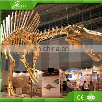 Attractive display equipment dinosaur skeleton of China factory