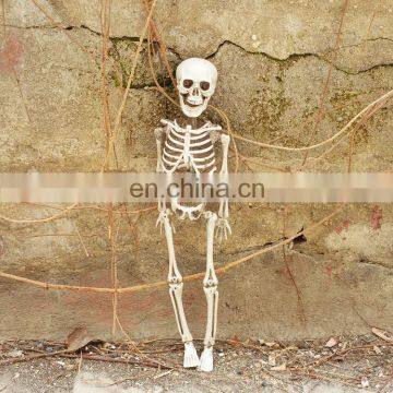 Halloween Skeleton 16inches Small Plastic Skeleton for Hunted House