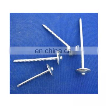 China supply umbrella head twist shank roofing nail/ roofing nail for building material/ High quality galvanized roofing nails