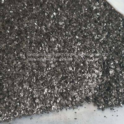 Ascophyllum Nodosum Seaweed Extract Flake Organic Fertilizer photo-2