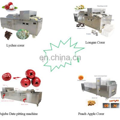 China Hot Sale Factory Price Ruxiang Machinery Fruit Vegetable Washing Pitting Drying Processing Equipment