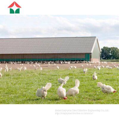 Low Cost Prefabricated Steel Chicken House for Sale Designs photo-2