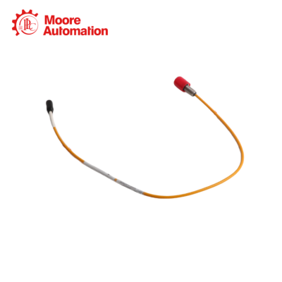 Bently Nevada 10030-05-30-05-02 photo-2