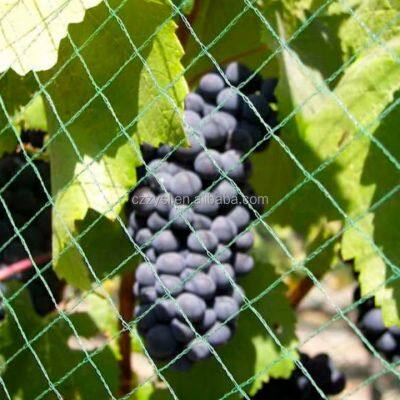 HDPE Grape protection Net Anti Bird Net Agricultural Vineyard Hail protection Net