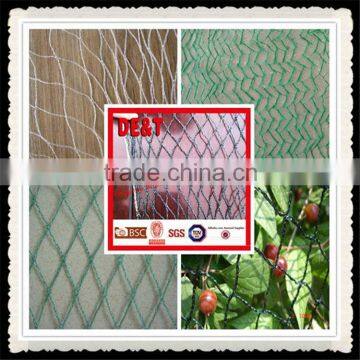 Anti-Bird Net