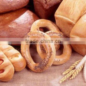 SY-301 Double Speed High Quality Bakery Dough Mixer