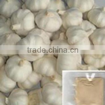 100% natural garlic extract hplc