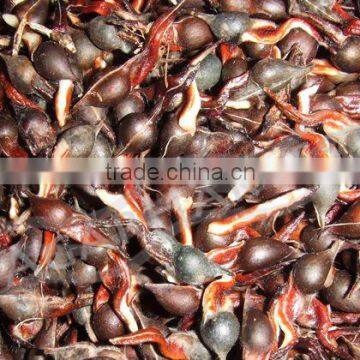 Agarwood-Aloeswood-Eaglewood-Oud-Oudh-Gaharu-Jinkoh-Chen Xiang-Calambac-Bois D'aigle-Adlerholz [Seeds]