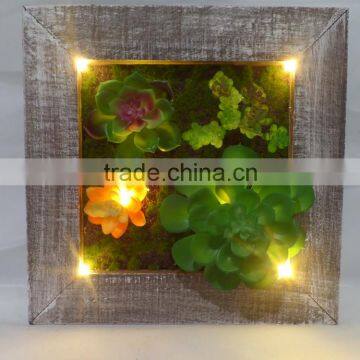 Brand-new design artificial succulent photo frame with led lights for sale
